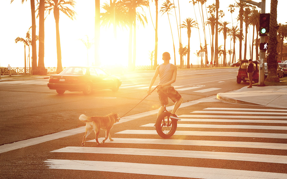 _MG_7852-Edit_cropped