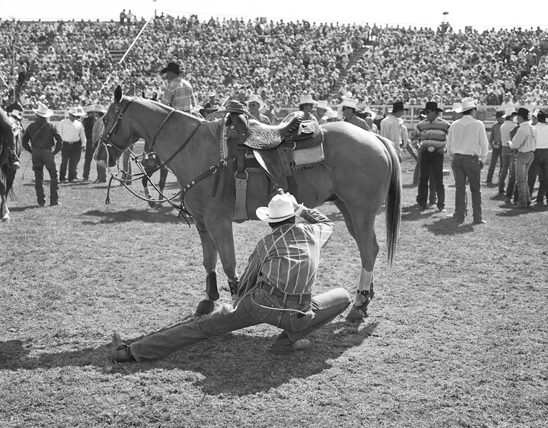 Mark_Scott_copyrighted_image_Gettin_Ready