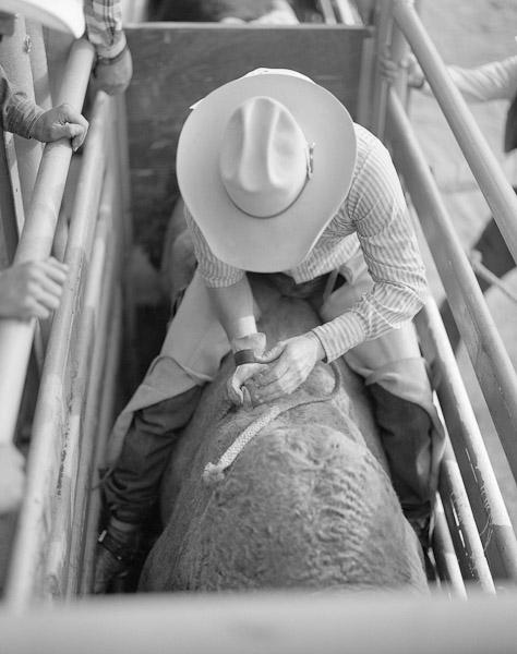 Mark_Scott_copyrighted_image_In_The_Chutes