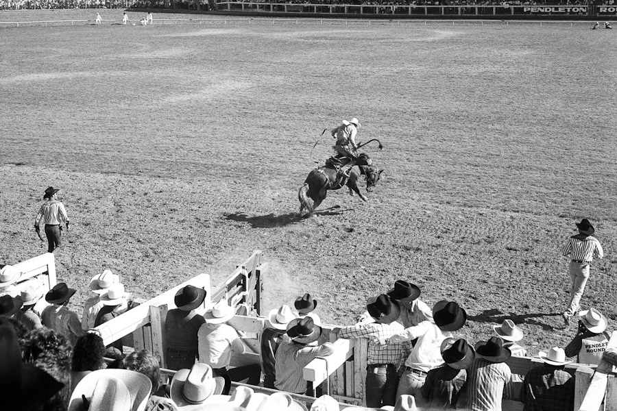 Mark_Scott_copyrighted_image_Let_er_Buck