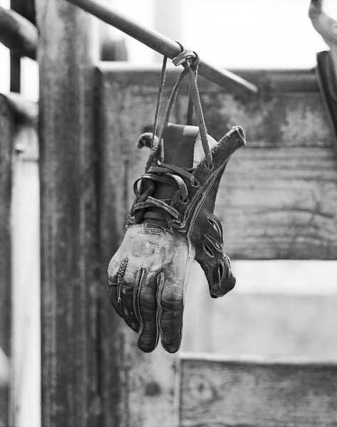 Mark_Scott_copyrighted_image_No_Glove_No_Luv