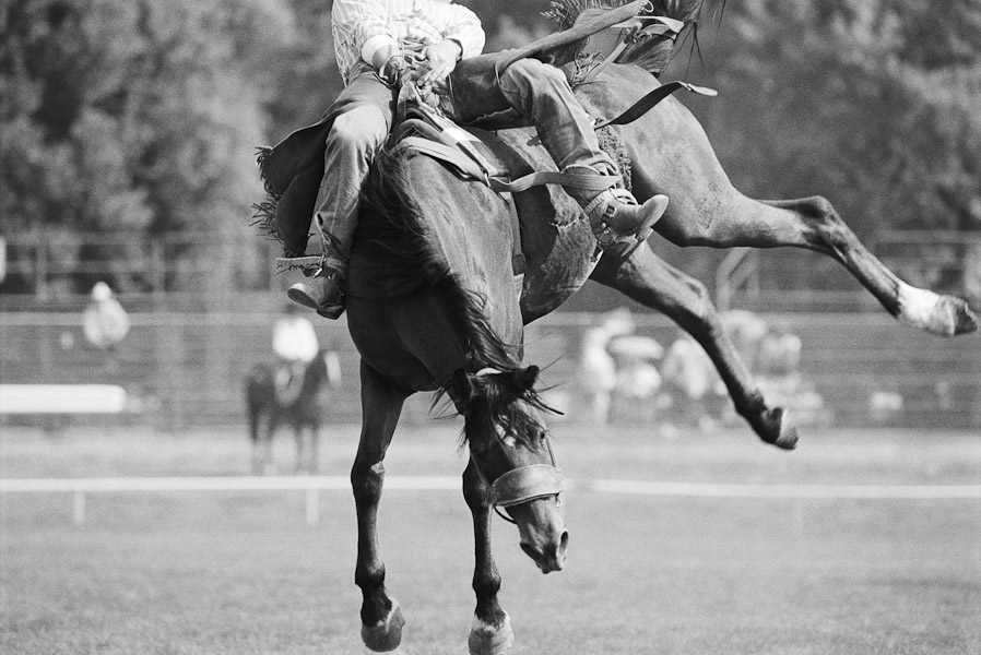 Mark_Scott_copyrighted_image_Wild_Ride